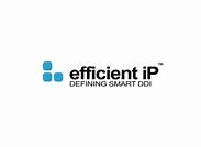 Efficient IP Logo